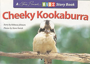 Cheeky Kookaburra 