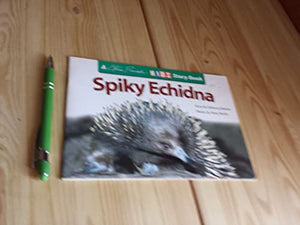 Spiky Echidna 