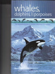 Whales, Dolphins, & Porpoises 