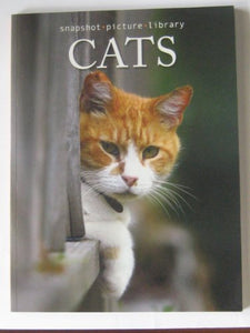 Cats (Snapshot Picture Library) 