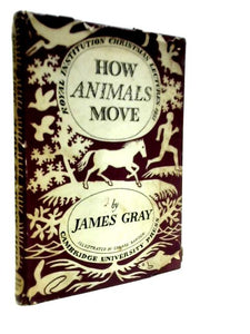 How Animals Move 
