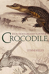 Crocodile 