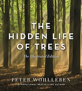 The Hidden Life of Trees (Illustrated Edition) 