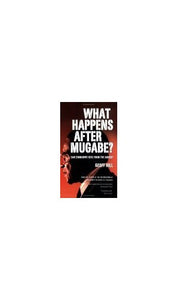 What happens after Mugabe? 