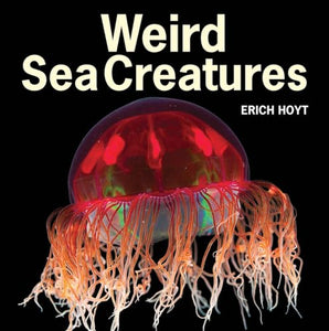 Weird Sea Creatures 