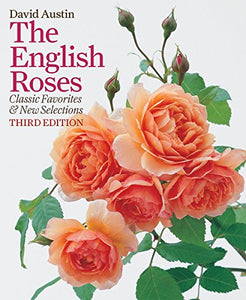 The English Roses 