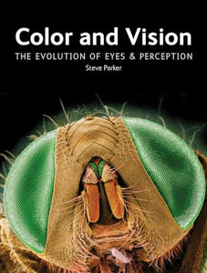 Color and Vision 