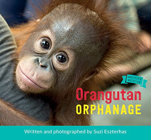 Orangutan Orphanage 