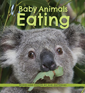 Baby Animals Eating 