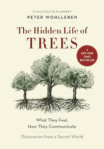 The Hidden Life of Trees 