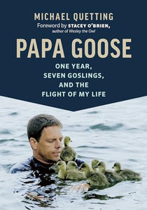 Papa Goose 