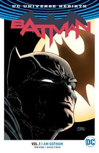 Batman Vol. 1: I Am Gotham (New Edition) 