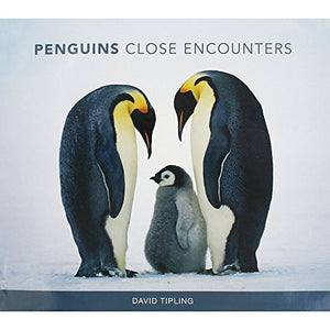 Penguins: Close Encounters 