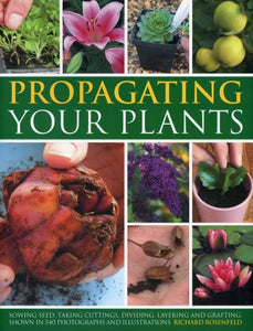 Propagating Your Plants 