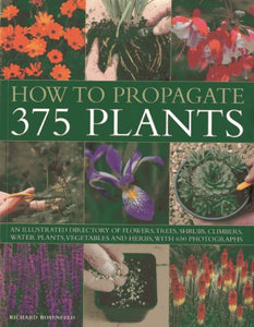 How to Propagate 375 Plants 