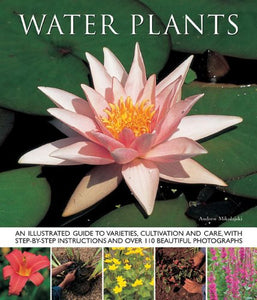 Water Plants 