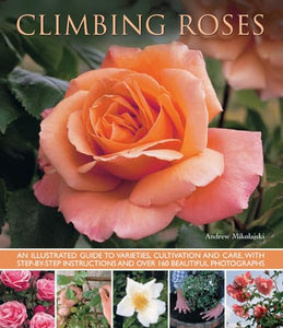 Climbing Roses 