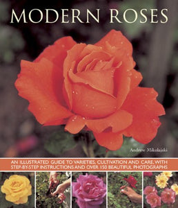 Modern Roses 