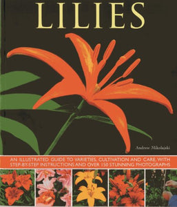 Lilies 