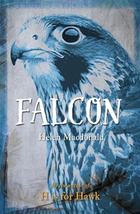 Falcon 