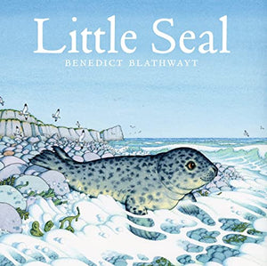 Little Seal 