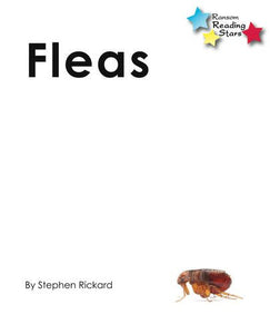 Fleas 