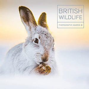 British Wildlife Photography Awards 9 