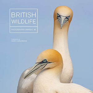 British Wildlife Photography Awards 10 