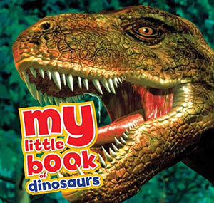 My Little Book of Dinosaurs 