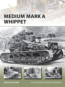 Medium Mark A Whippet 