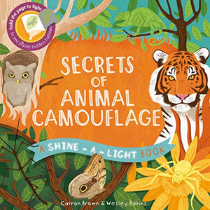 Shine a Light: Secrets of Animal Camouflage 