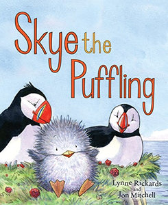 Skye the Puffling 