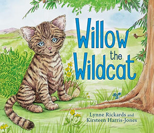 Willow the Wildcat 