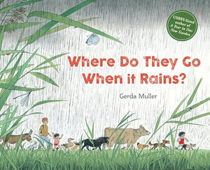 Where Do They Go When It Rains? 