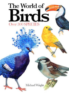 The World of Birds 