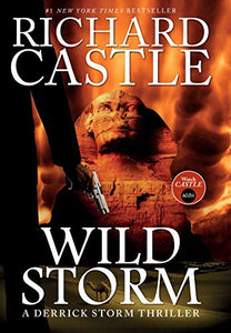 Wild Storm (a Derrick Storm Thriller) 