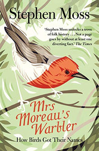 Mrs Moreau's Warbler 