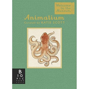 Animalium (Mini Gift Edition) 