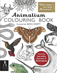 Animalium Colouring Book 