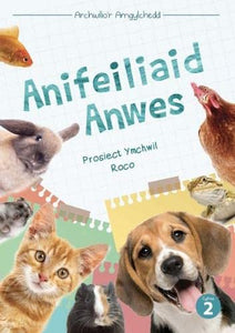 Cyfres Archwilio'r Amgylchedd: Anifeiliaid Anwes 