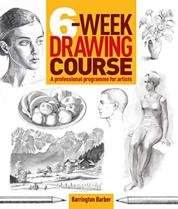 6-Week Drawing Course 