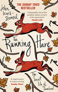 The Running Hare 