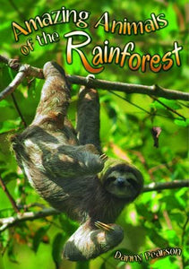 Amazing Animals of the Rainforest 