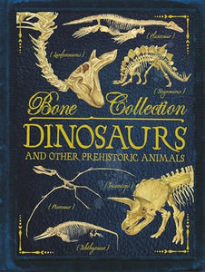 Bone Collections: Dinosaurs 