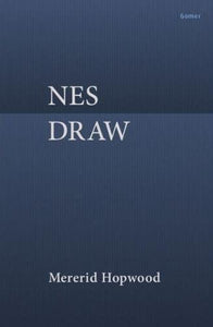 Nes Draw 