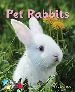 Pet Rabbits 