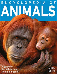 B384FL Encyclopedia of Animals 