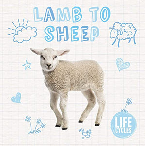 Lamb to Sheep 