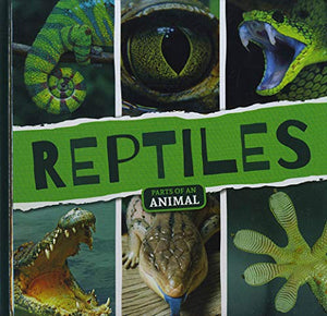 Reptiles 