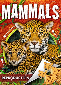 Mammals 